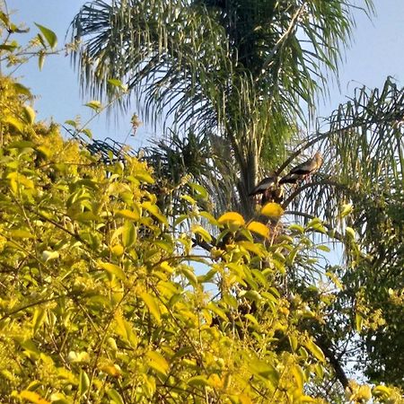 Pousada Do Sossego Conceição da Ibitipoca Kamer foto