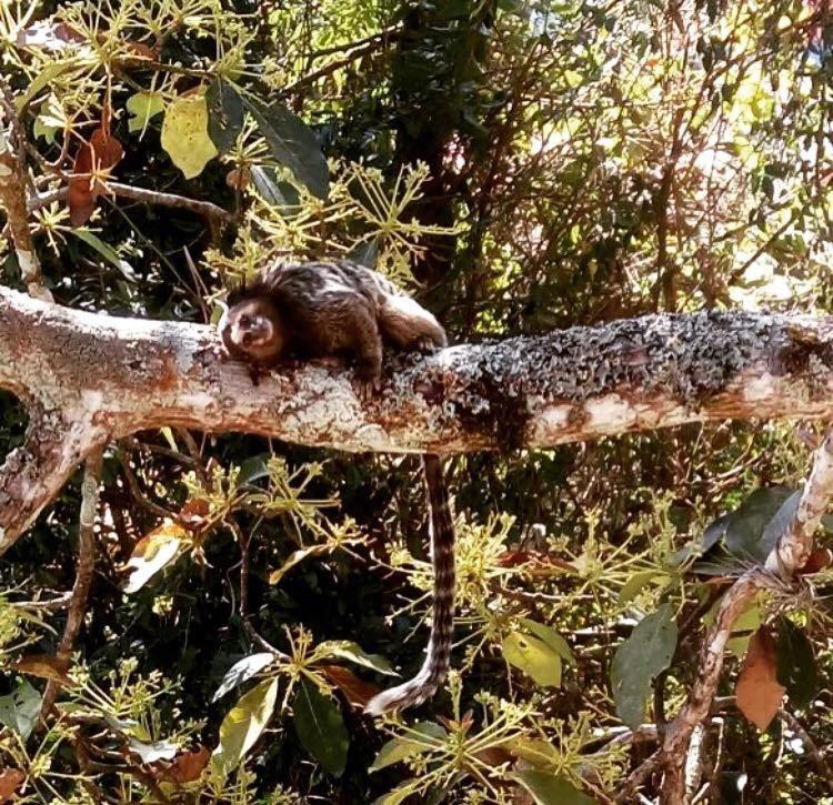 Pousada Do Sossego Conceição da Ibitipoca Buitenkant foto