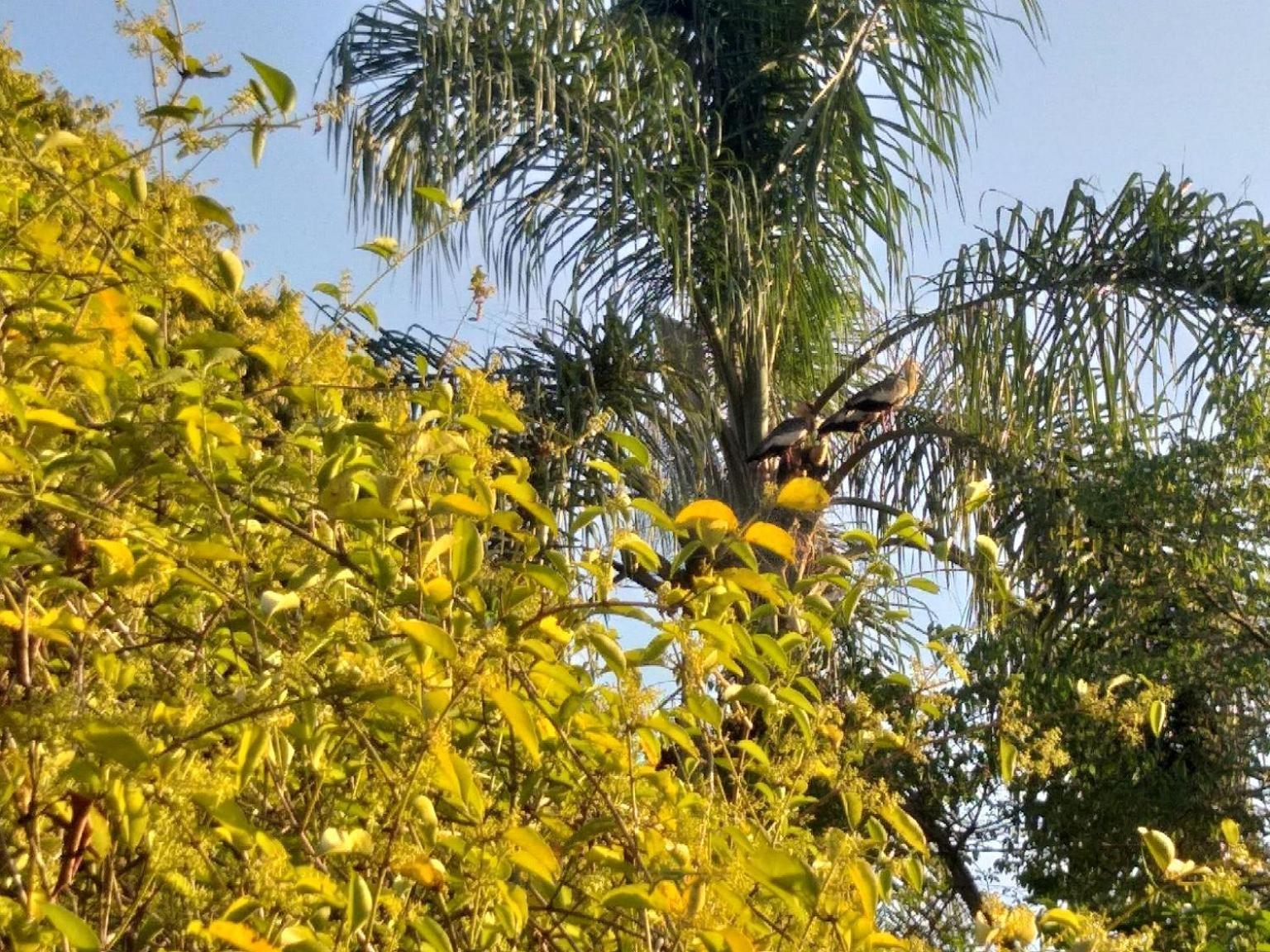 Pousada Do Sossego Conceição da Ibitipoca Kamer foto